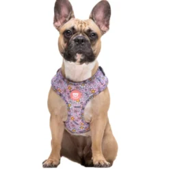Dukier Flower Power Arnés Ajustable para perros