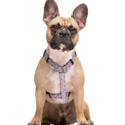 Dukier Flower Power Arnés Clásico para perros