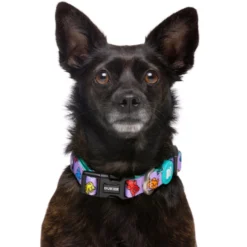 Dukier Gummy Bears collar para perros