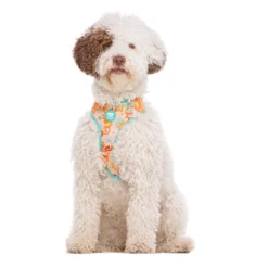 Dukier Peace Arnés Reversible para perros