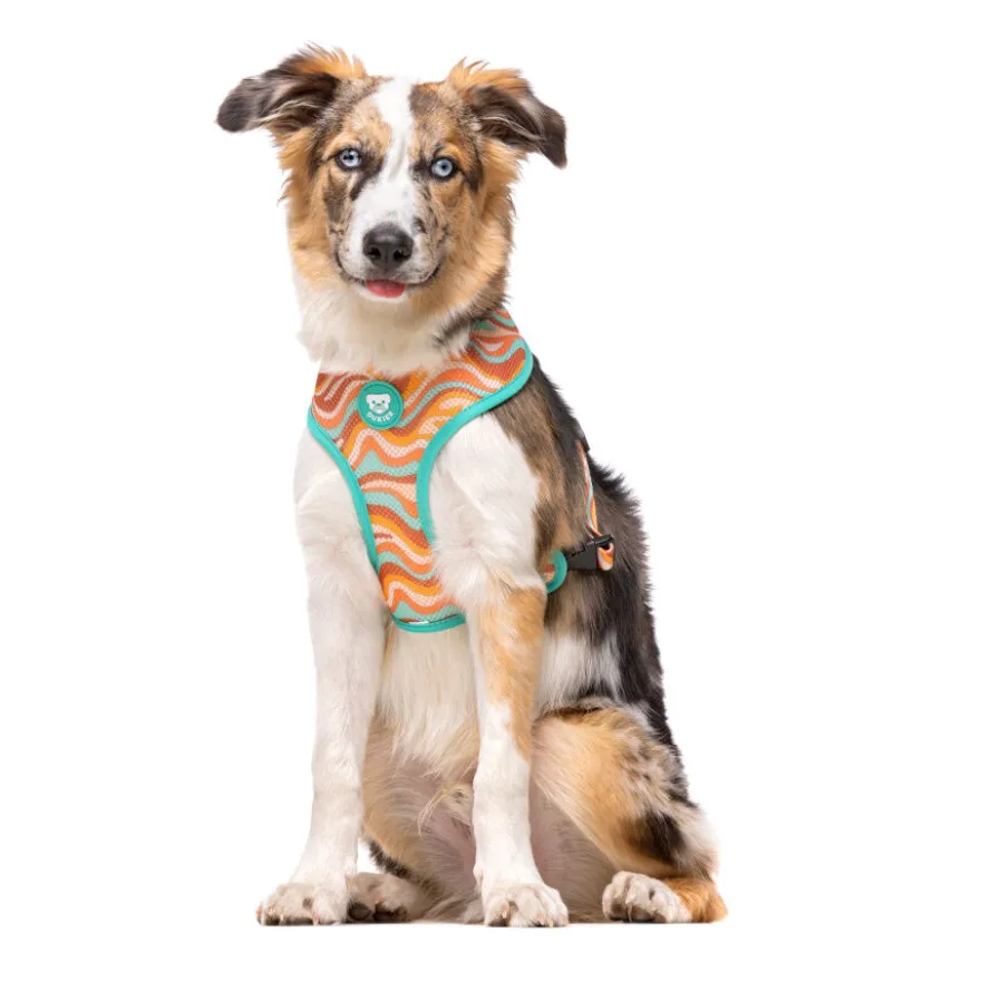 Dukier Peace Arnés Reversible para perros