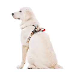 Dukier Tattoo Arnés Trail para perros