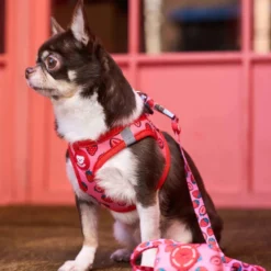 Dukier Trail Arnés Body Estampado Berry Love para perros
