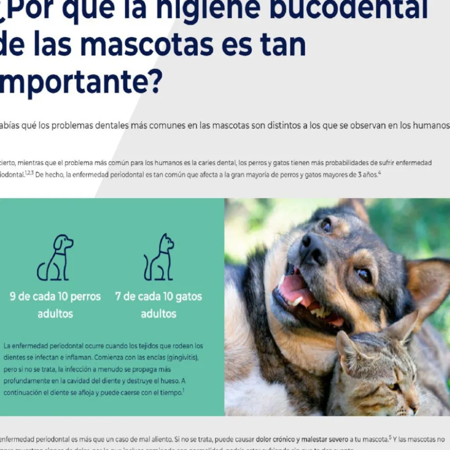 Ecuphar Plaqtiv+ Toallitas Dentales para perros y gatos