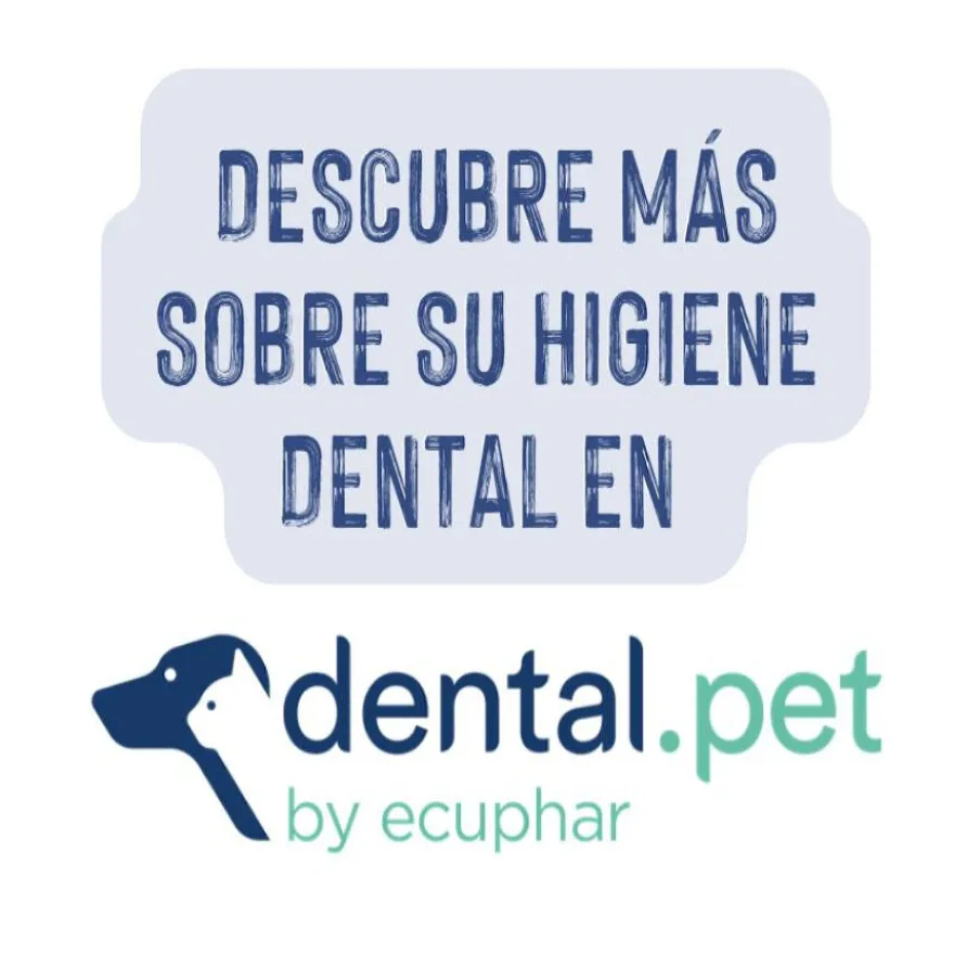 Ecuphar Plaqtiv+ Toallitas Dentales para perros y gatos
