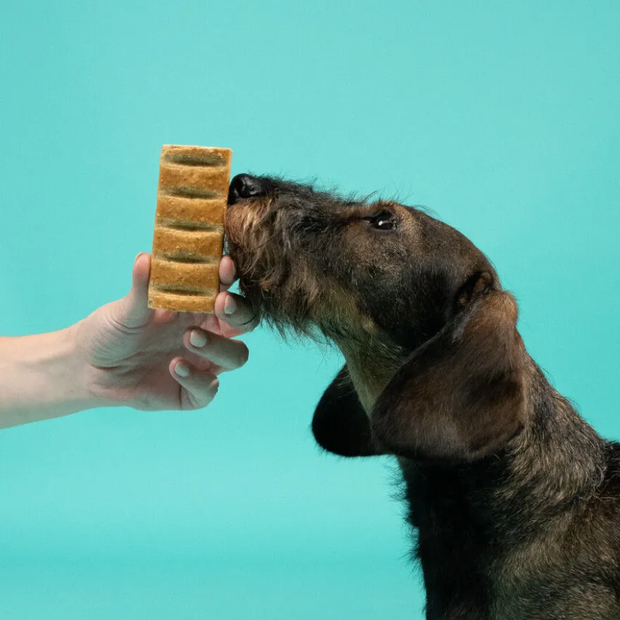 Edgard & Cooper Barritas de Pollo snack para perros