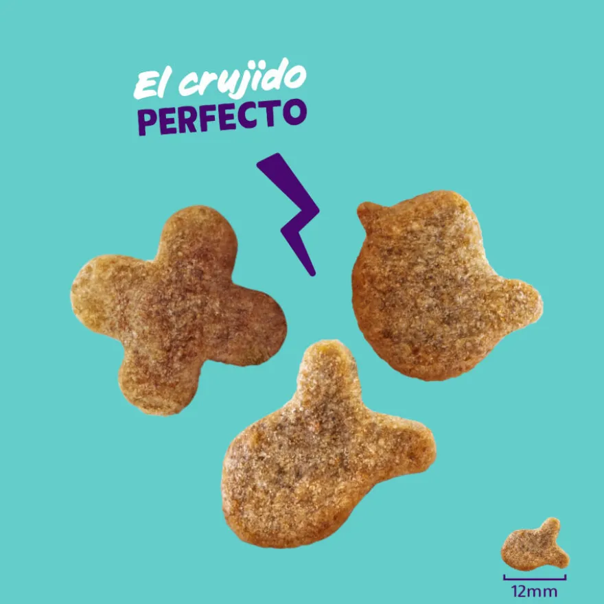 Edgard & Cooper Galletas Crunchies Salmon para gatos
