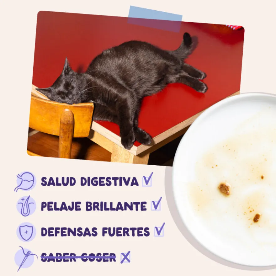 Edgard & Cooper Pato & Pavo sobre en salsa para gatos