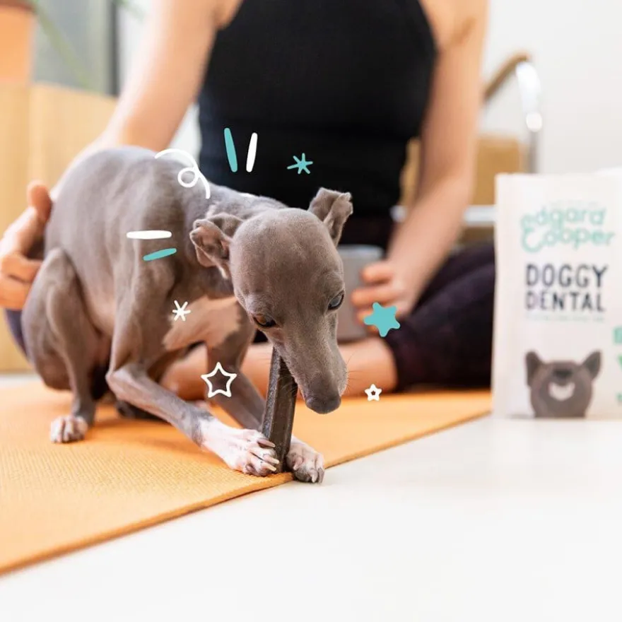 Edgard & Cooper Small Snacks Dentales Fresa y Menta para perros