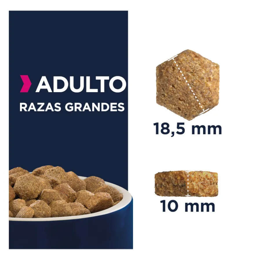 Eukanuba Adult Large Pollo pienso para perros