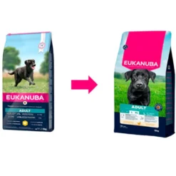 Eukanuba Adult Large Pollo pienso para perros