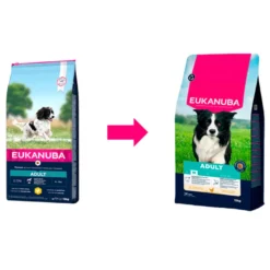 Eukanuba Adult Medium Pollo pienso para perros
