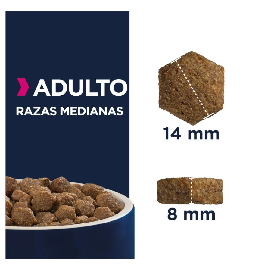 Eukanuba Adult Medium Pollo pienso para perros