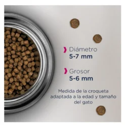 Eukanuba Kitten Pollo pienso para gatos