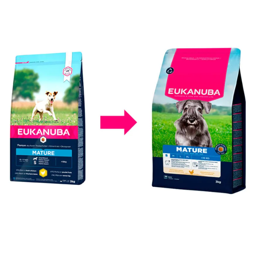 Eukanuba Mature&Senior Small Pollo pienso para perros