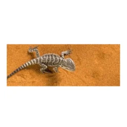 Exo Terra Arena del Desierto Roja sustrato para terrarios