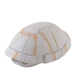 Exo Terra Caparazón de Tortuga Fósil decoración para terrarios