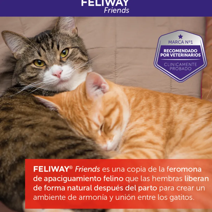 Feliway Friends Difusor para gatos