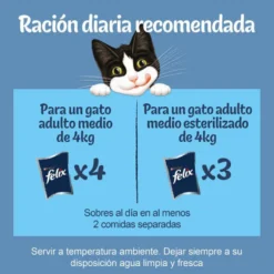 Felix Fantastic Duo Pescado en Gelatina sobre para gatos