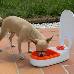 Ferplast Cometa Dispensador Automático de Alimentos para perros y gatos