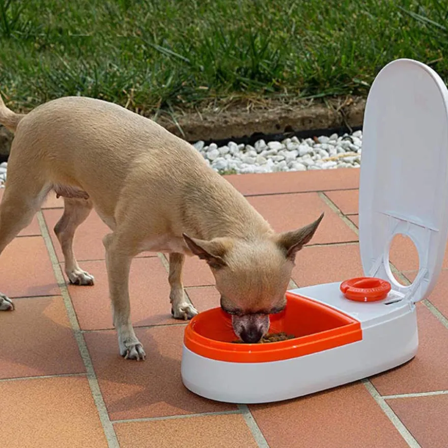 Ferplast Cometa Dispensador Automático de Alimentos para perros y gatos
