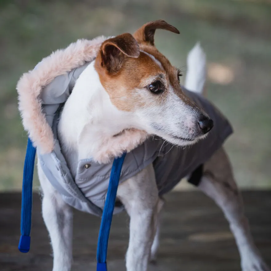 Freedog Abrigo Impermeable Iceguard Gris para perros