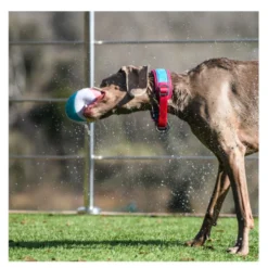 Freedog Cool Pro Tech Collar Refrescante Fucsia Deportivo para perros