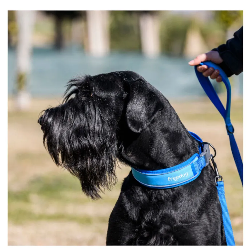 Freedog Cool Pro Tech Correa Refrescante Azul para perros