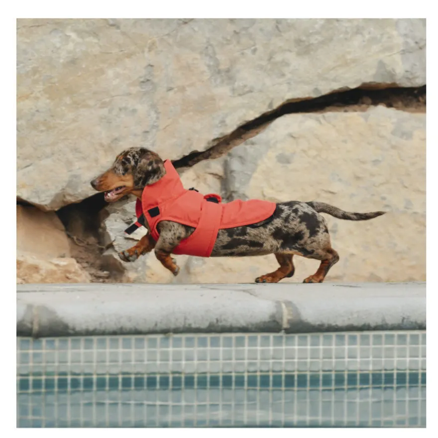 Freedog Paw Shield Rojo Abrigo Impermeable para perros