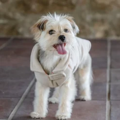Freedog Polar Snowpuff Beige para perros