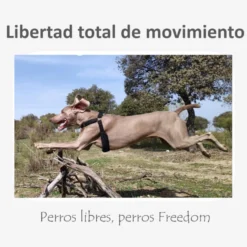 Freedom and Color Arnés Anti-tirones Azul para perros