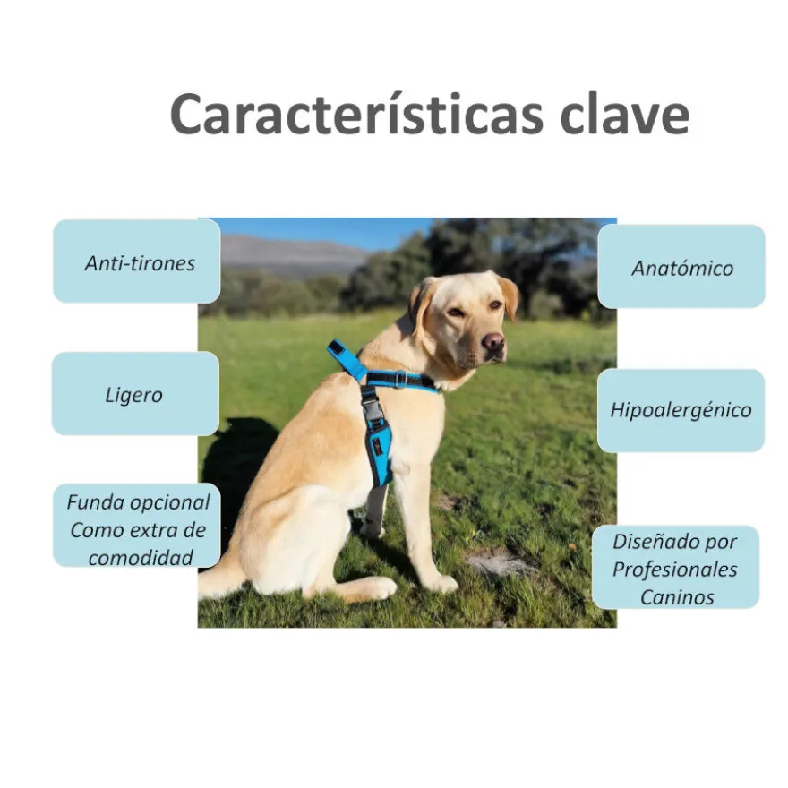 Freedom and Color Arnés Anti-tirones Azul para perros
