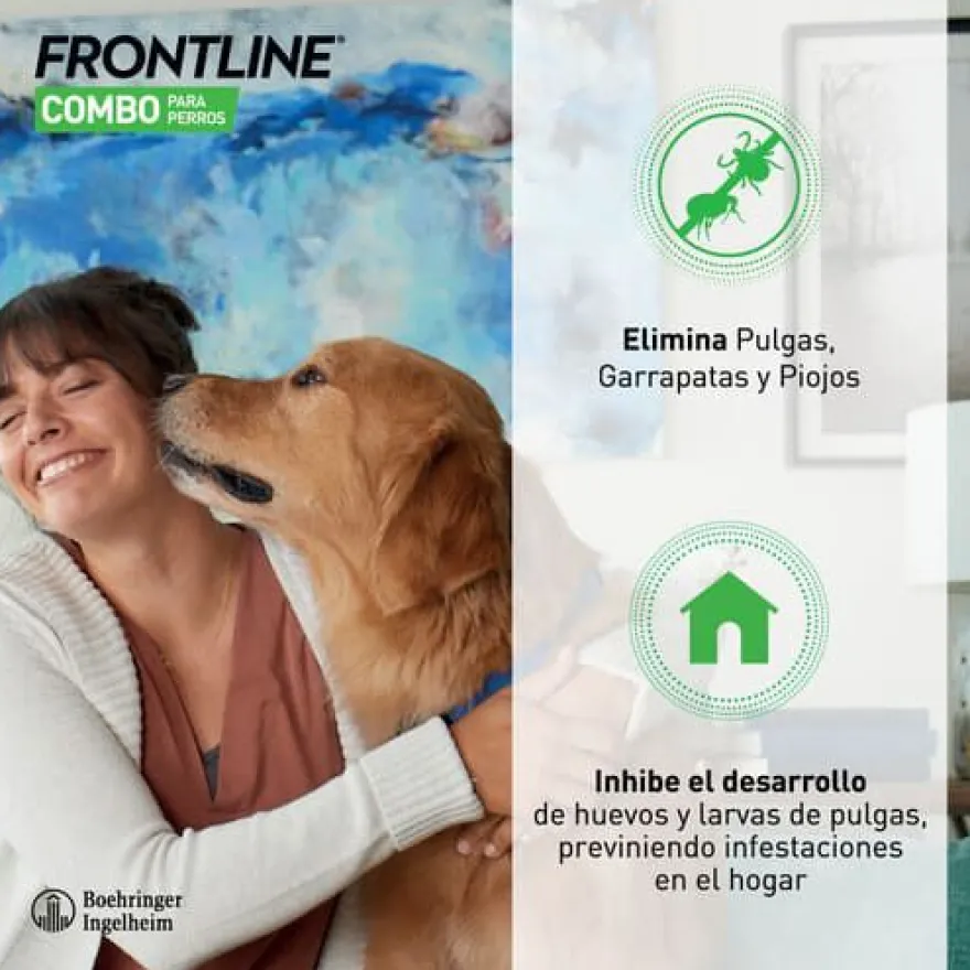 Frontline Combo Pipetas Antiparasitarias para perros pequeños