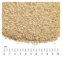 Golden Grey Trigo Arena Aglomerante para gatos