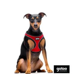 Gotoo Arnés ajustable de malla rojo para perros