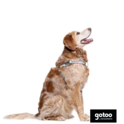 Gotoo Arnés estampado hojas para perros