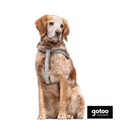 Gotoo Arnés estampado hojas para perros