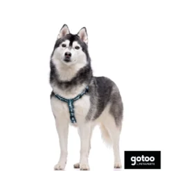 Gotoo Arnés estampado verde para perros