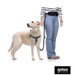 Gotoo Arnés estampado verde para perros