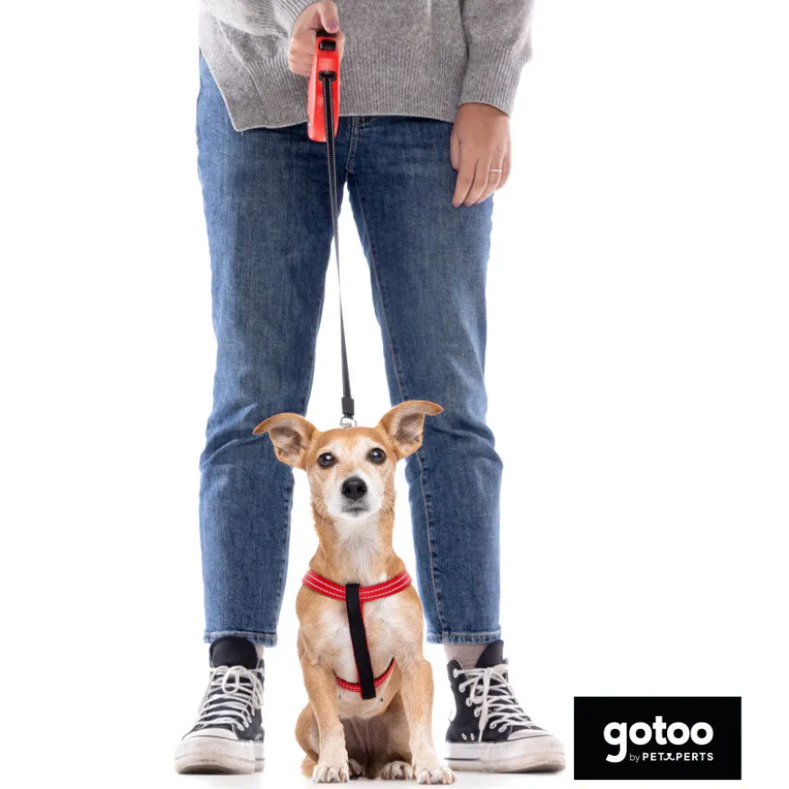 Gotoo Arnés reflectante de neopreno rojo para perros