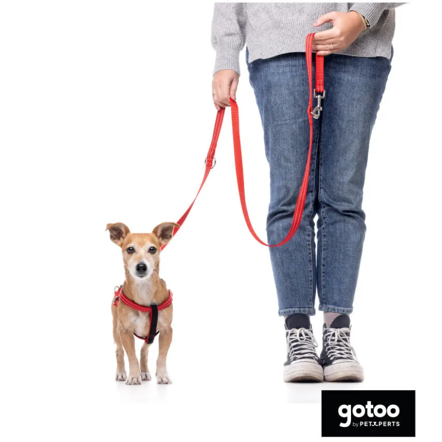 Gotoo Arnés reflectante de neopreno rojo para perros