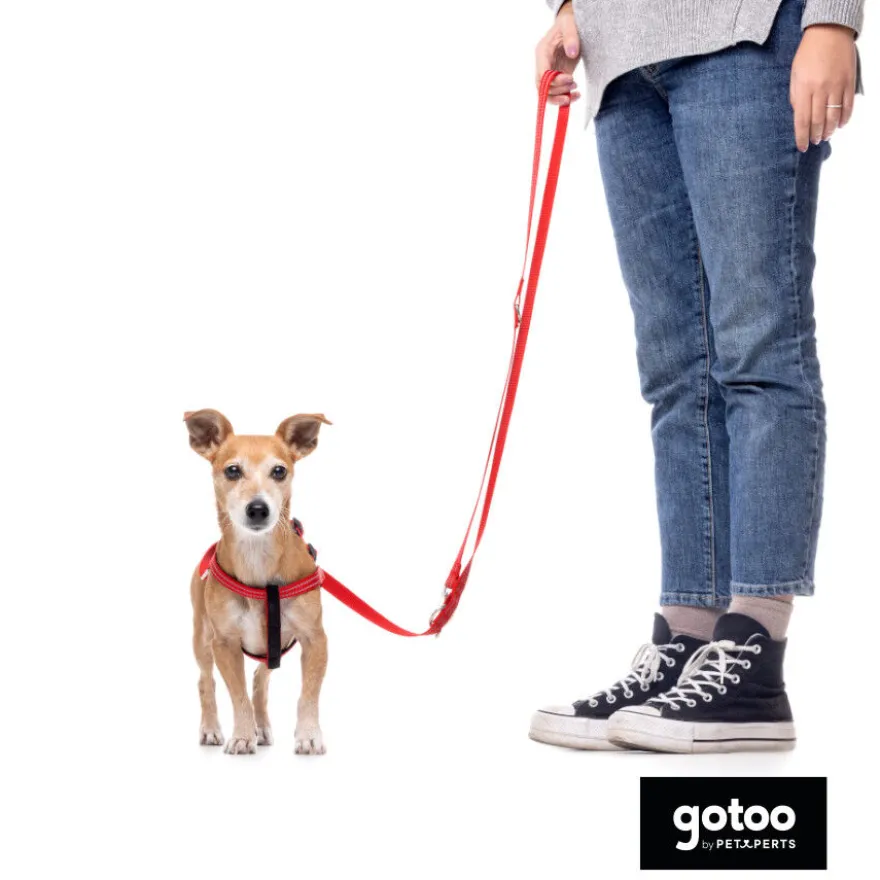 Gotoo Arnés reflectante de neopreno rojo para perros