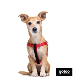 Gotoo Arnés reflectante de neopreno rojo para perros