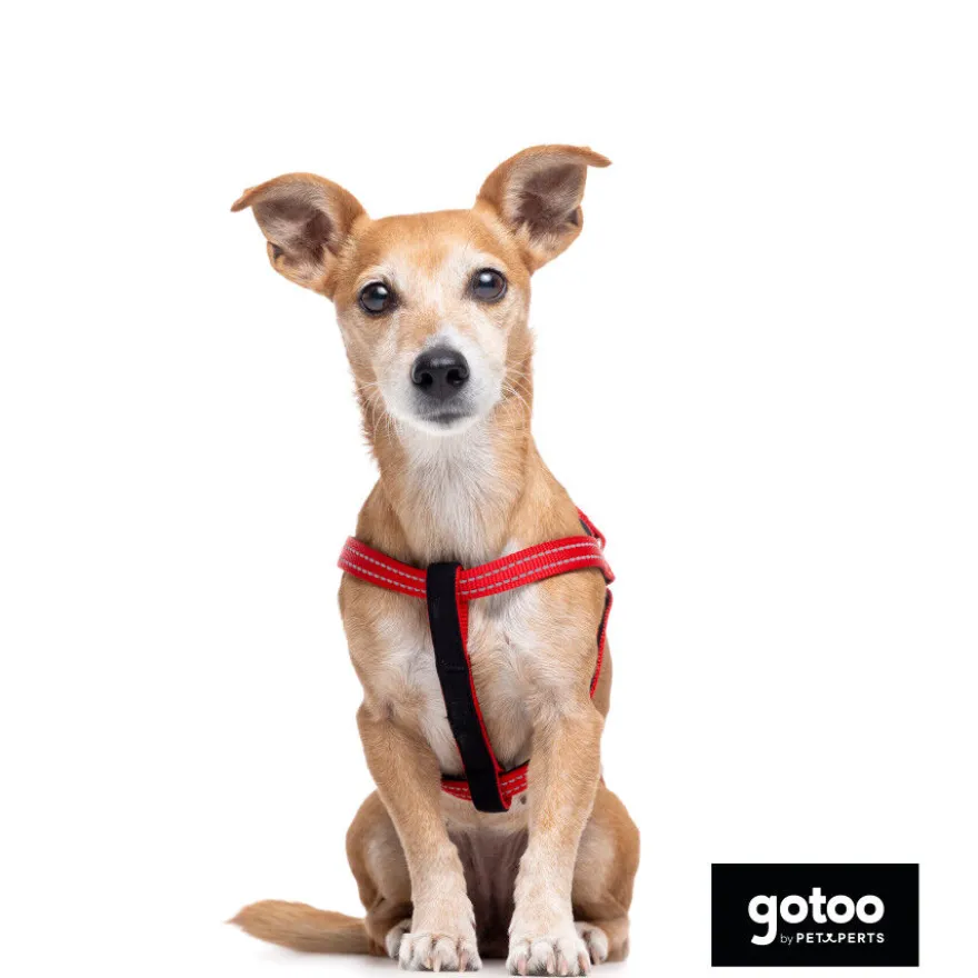 Gotoo Arnés reflectante de neopreno rojo para perros
