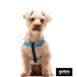 Gotoo Arnés reflectante de neopreno azul para perros