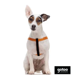 Gotoo Arnés reflectante de neopreno naranja para perros