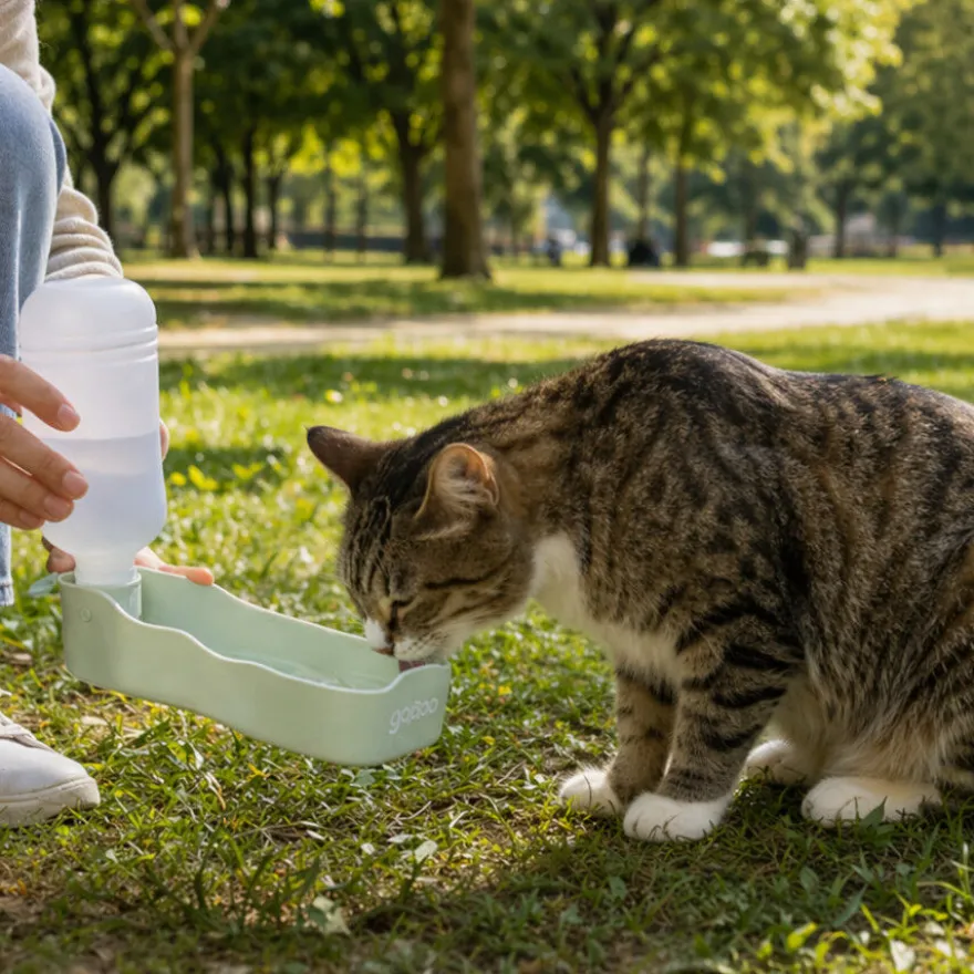 Gotoo Botella Bebedero Portátil de Plástico Verde para perros y gatos
