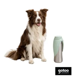 Gotoo Botella Bebedero Portátil de Acero Inoxidable Verde para perros