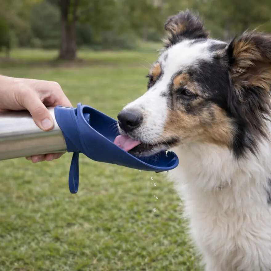 Gotoo Botella Bebedero Portátil de Acero Inoxidable Azul para perros