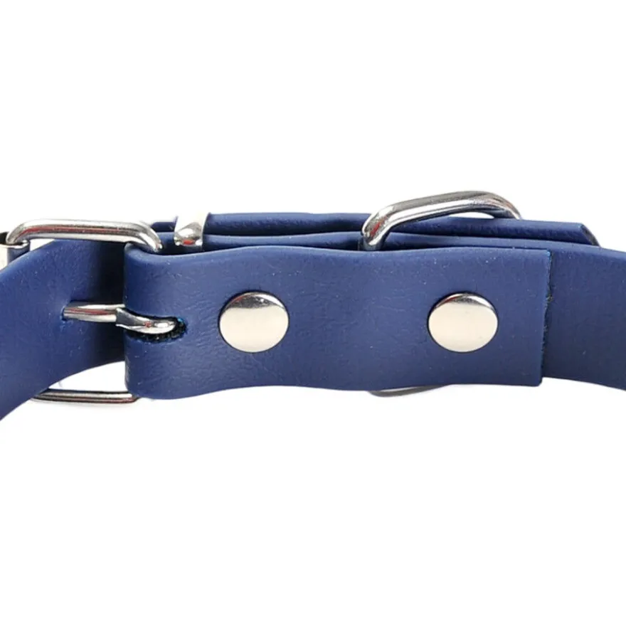 Gotoo Collar Biothane azul para perros